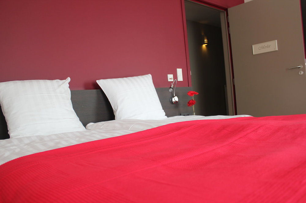 Hotel L'O De Vie ซินท์-ทราวเดิน ภายนอก รูปภาพ
